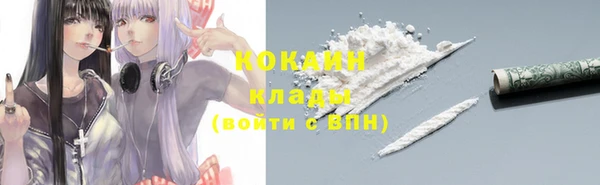 прущие грибы Абинск