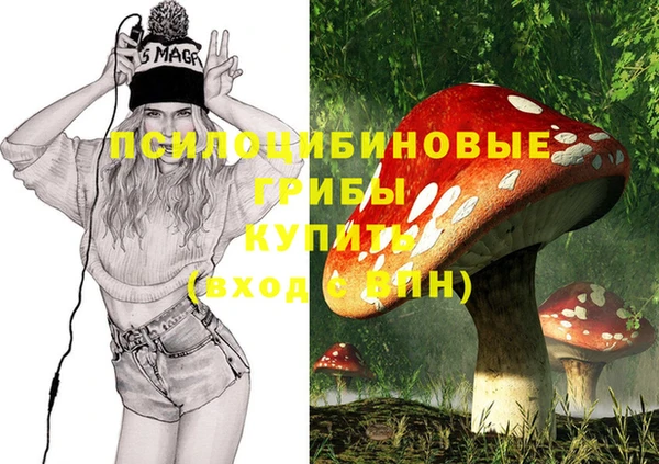 прущие грибы Абинск