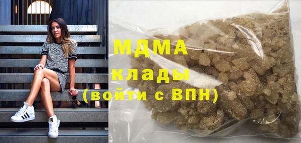 прущие грибы Абинск