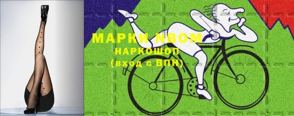 прущие грибы Абинск