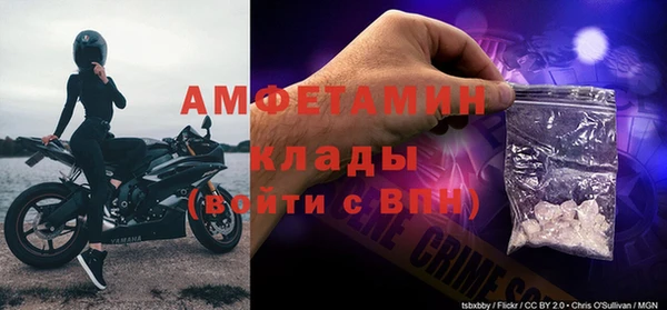 прущие грибы Абинск