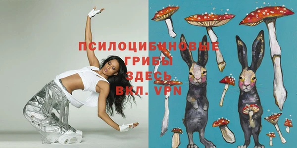 прущие грибы Абинск
