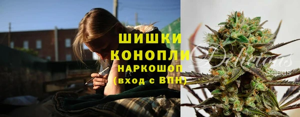 сатива Алзамай